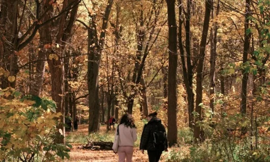 walking_in_nature_michael-descharles-4Y_NYmAqMyg-unsplash Two women walking in autumn clothes along a path in a wood with autumnal trees (brown and yellow leaves). The women are talking as they walk.